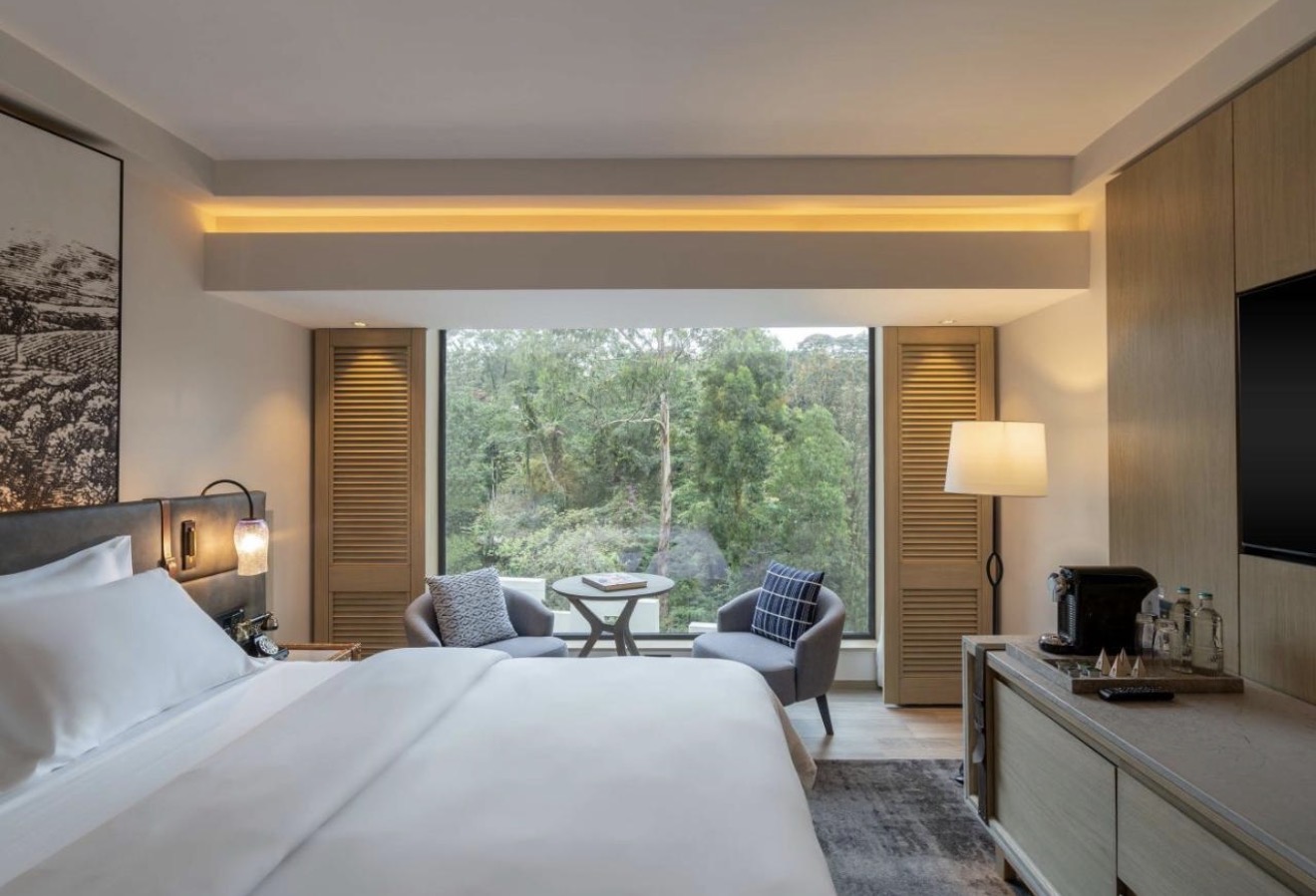 Deluxe room with forest views